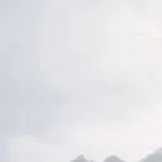nv