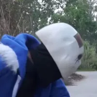 mis sans