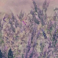 Clb nhảy@Matcha.tea