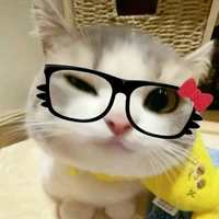 t/g mèo biết nói