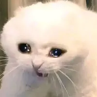 Hệ thống 018