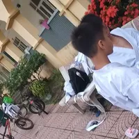 Cả 3 thằng : All