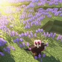 • Kresh | Rét •