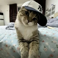 hận kiếp này đéo có peter 😡🪝🦋👌🍠