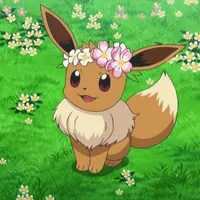 Eevee ( Aka ) - Ringo