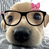 Lại là Cua đâyy