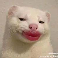 tg và đôi lời mún lói 🦾