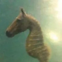 nhân cách thứ hai của t/g