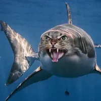 cô giáo ác quỷ,lạnh lùng,ngầu hơn sigma