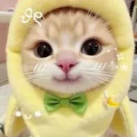 kẻ hủy diệt Anime phản bội mèo