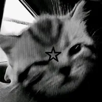 𝙰𝙻𝙻 𝙱𝙾𝚃🌷