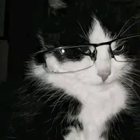 𝙰𝙻𝙻 𝚃𝙾𝙿😔😭