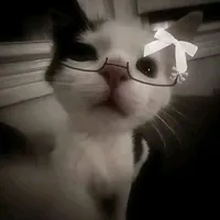 𝙰𝙻𝙻 𝙼𝙽😏