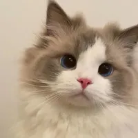 All