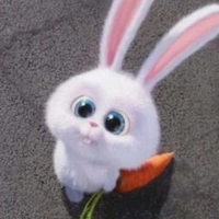 ᰔᩚ°t/g thik tiền và🇻🇳°