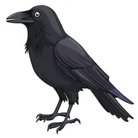 Kuro