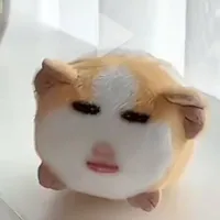 Tác Giả
