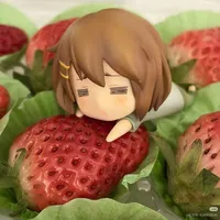 all khách mời nữ