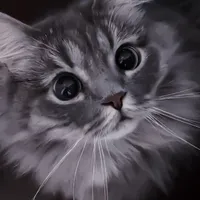 Hệ thống không gian