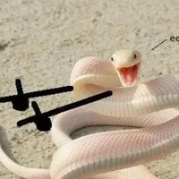 hệ thống 1 đấm chết luôn