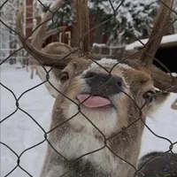 hệ thống khoa học