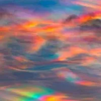 ✨✨(con tác giả điên rồ🥀🥀)