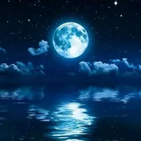 all ( - người cần - )