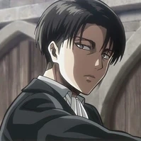 levi