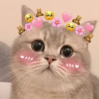 Tổng tài của em