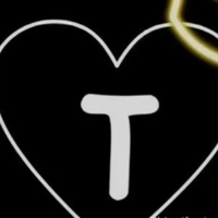 T/g ngu