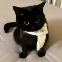 Hwang Yoon Jin (Mèo)