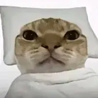 tg