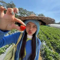 Phương Mỹ Chi