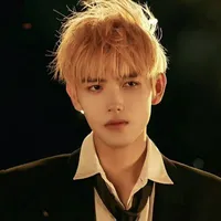 Trần Phi Vũ