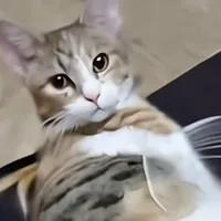 nv ngoài truyện