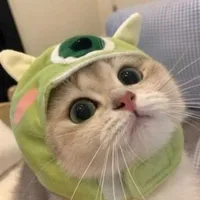 Tác giả đẹp zai