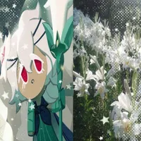 White Lily