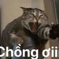 TÁC GIẢ