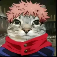 yuuji itadori