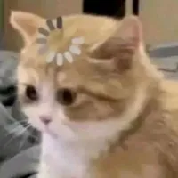 T/g [hệ thống khốn nạn]