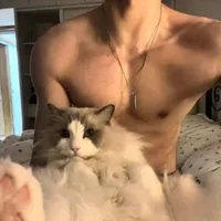 tarujrne      | Kim Ngưu