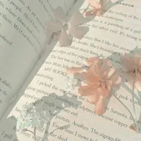 Các Dòng Bình Luận