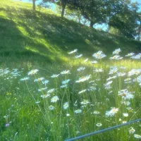 All Top( trừ ai thì trừ)