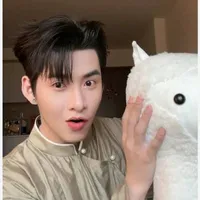 huỳnh hoàng hùng (gem)