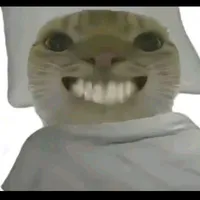 Mọi người(-ai thì -)