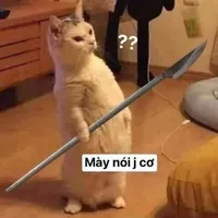 Cả 4