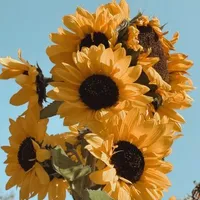 (noob ở quá khứ)🌻