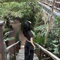 Võ Ngọc Thúy Diễm [ Rose ]