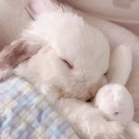 t/g nhìn DH chịch