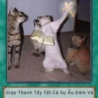 kí  ki {nhân vật đc nhồi vào cho đủ }